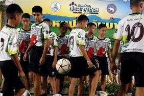 营救野猪队,一场生态守护的生死较量